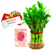 Admirable Gift of Indoor Bamboo Plant, Anniversary Card and Mainland China E Voucher