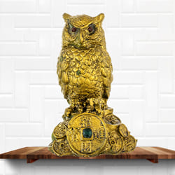 Mesmerizing Feng Shui Owl Showpiece for Money and Wisdom