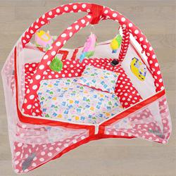 Fancy Mosquito Net with Kick and Play Gym N Bedding Set