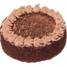 Classic fresh Chocolate flavor Eggl to Rourkella