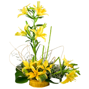 5 Stem Yellow Lilies Arrangement 