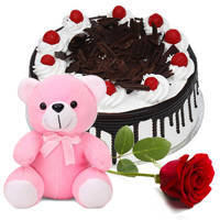 Yummy Black Forest Cake with Single Rose N Teddy