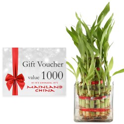 Exclusive Combo of Mainland China Gift E Voucher worth Rs.1000 and Lucky Bamboo Plant in Bowl to Uthagamandalam