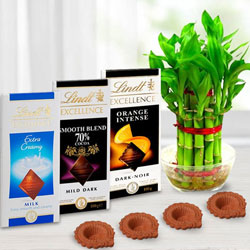 Environment Friendly Diwali Gift of Plant, Lindt Chocolates n Diya to India