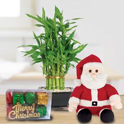 Special Gift of 2 Tier Bamboo with Santa Teddy to Punalur