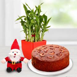 Wonderful Lucky Bamboo Plant with Plum Cake n Santa Claus Cap to Marmagao