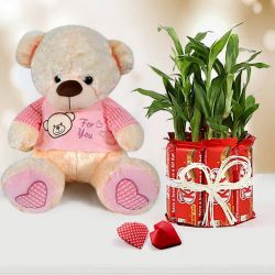 Exquisite Propose Day Combo of Teddy with Chocolate n Lucky Bamboo to Andaman and Nicobar Islands