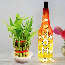2 Tier Lucky Bamboo Plant with Handcrafted LED Lighting Bottle Lamp for Mom to Uthagamandalam