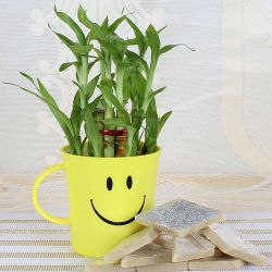 Exclusive Bamboo Plant in Smiley Mug with Kaju Katli for Mom	