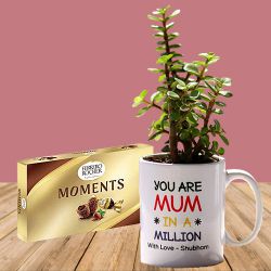Pretty Jade Plant in Personalized Mug with Ferrero Moment Chocolates Box to Tirur