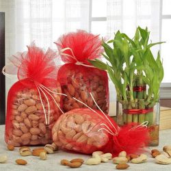 Divine Lucky Bamboo Plant in a Glass Vase with Assorted Dry Fruits to Rajamundri