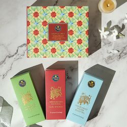 Essential India Tea Gift Box Set to Chittaurgarh
