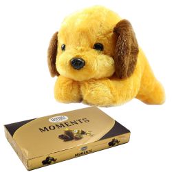 Soft N Cute Doggy with Ferrero Rocher Chocolate Combo to Rajamundri