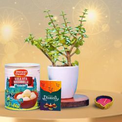 Green Diwali  Plant, Sweets And Wishes to Punalur