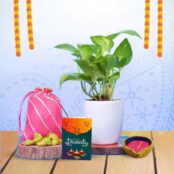 Prosperity Plant With Greetings to Rajamundri