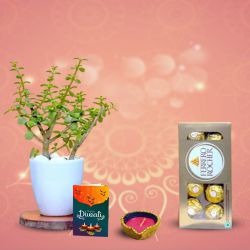 Jade Plant Delight to Uthagamandalam