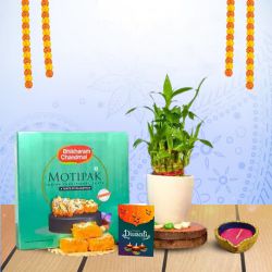 Lucky Bamboo And Sweet Treats to India