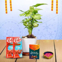 Green And Sweet Diwali Surprise to Rajamundri
