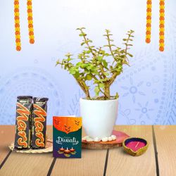 Diwali Delight  Green, Chocolate, Light to Karunagapally