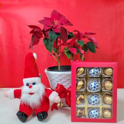 Joyful Christmas Surprises Hamper to Tirur