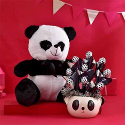 Choco Panda Love Fusion Gift to Chittaurgarh