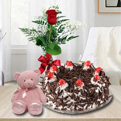 Luscious Black Forest Cake with Single Red Rose and a Small Teddy Bear