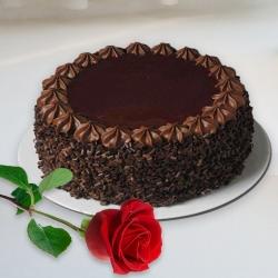 Resplendent Chocolate-y Delight Cake with Single Red Rose