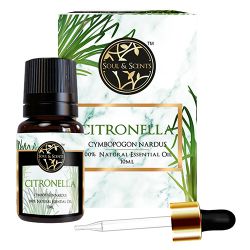 Aromatic Citronella Essential Oil to Punalur