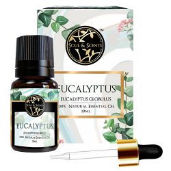 Aromatic Eucalyptus Essential Oil to India