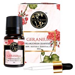 Fragrant Geranium Essential Oil to Uthagamandalam