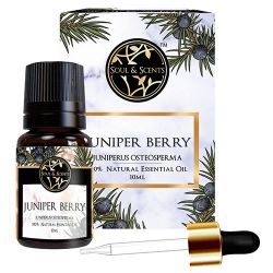 Relaxing Juniper Berry Essential Oil to Rajamundri