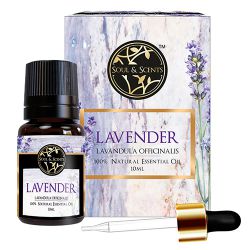 Soothe Your Soul  Lavender Essential Oil to Nagercoil
