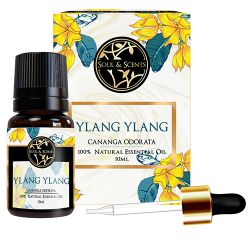 Rejuvenating Ylang Ylang Essential Oil to Punalur