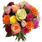 Attractive 24 colorful mixed Roses to Marmagao