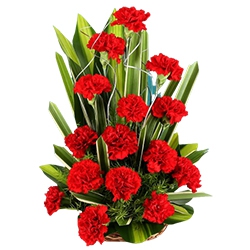 Colourful classy Carnations to Alwaye