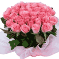 Arrangement of 30 lovely Pink Roses to Chennai