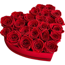 Enticing Red Rose bouquet