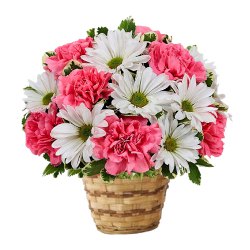 Fresh Flowers Bouquet with Ferrero Rocher Choclate Box