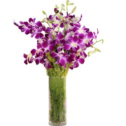 Gracefull fresh humper Orchids combined with a Vase to Sivaganga