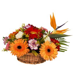 Beautiful varied arrangement of Carnations and Gerberas to Tirur