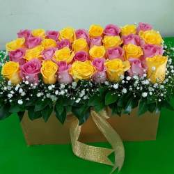 Radiant Bed of Pink n Yellow Roses in Box