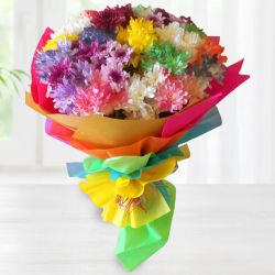 Magical Bouquet of Mixed Carnations to Muvattupuzha