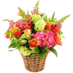 Beautiful charming fresh Flowers to Marmagao