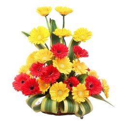 Attractive one dozen of colorful Roses along with a Vase to Nipani