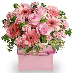Pink Gerberas and Roses Arrangement