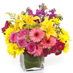 Eye Catching Mixed Seasonal Flowers in a Glass Vase