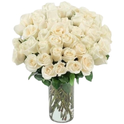 Serene White Roses Vase Arrangement