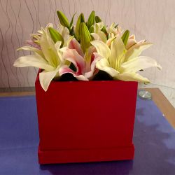 Elegant White N Pink Lilies Arrangement to Marmagao