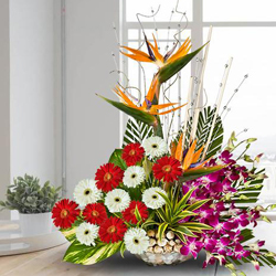 Brilliant Mixed Flowers Arrangement