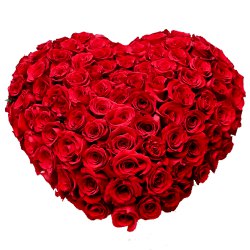 Attractive heart shape 150 Dutch Red Roses 